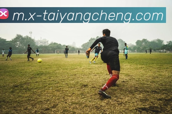 太阳城网站品牌故事