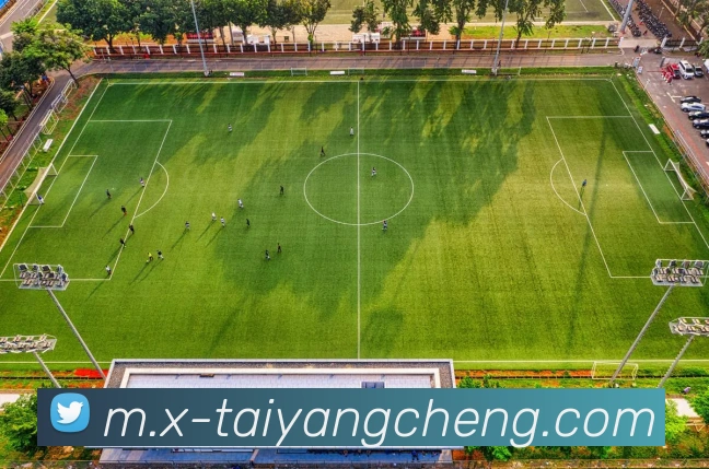 太阳城网站服务体系